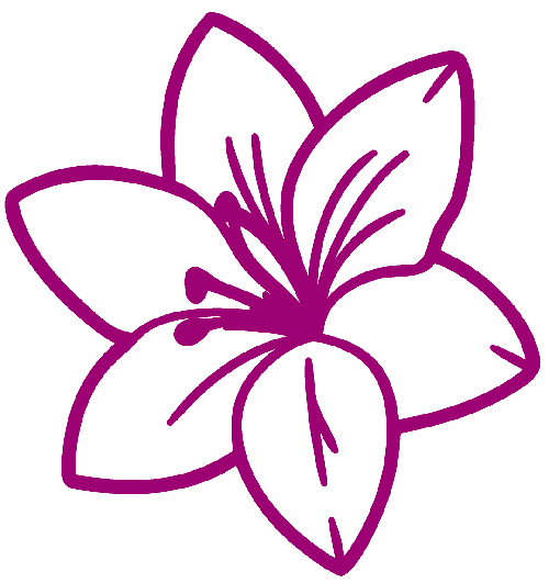 lily-3