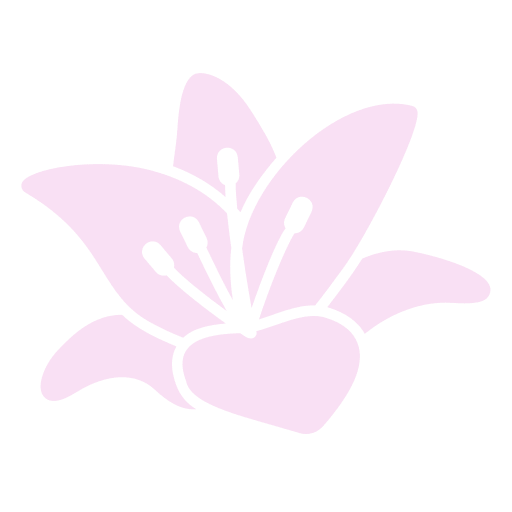 lily-7