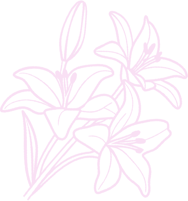 lily-women-consultant-events
